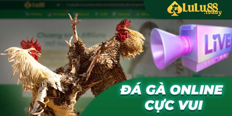 Đá gà online cực vui tại lulu88.today