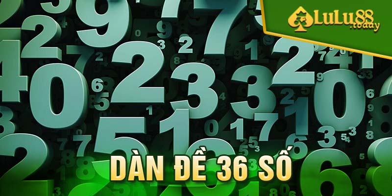 dan-de-36-so