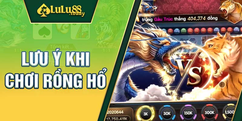 Những lưu ý quan trọng cần nắm khi chơi Rồng Hổ