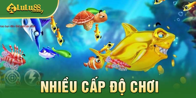 Mỗi phòng chơi có mức độ khó khác nhau
